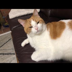 Meet your Posher, Jessie